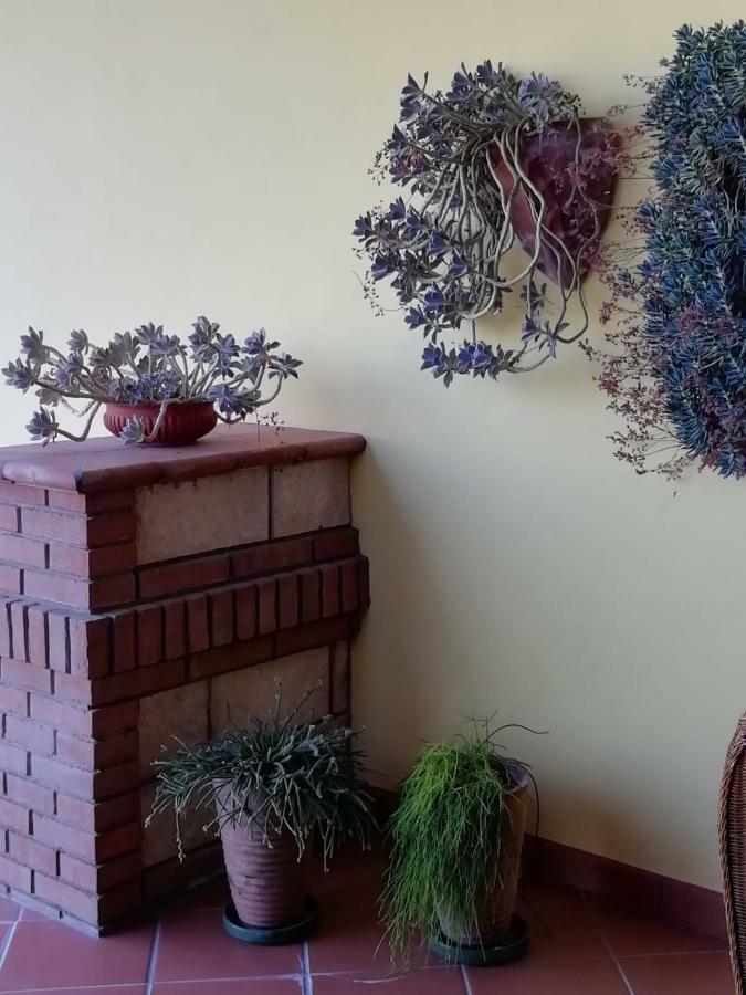 Il Melograno Bed & Breakfast Calitri Bagian luar foto